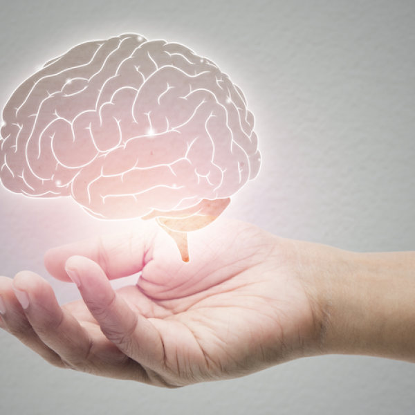 L'éducation a un effet positif sur le vieillissement du cerveau